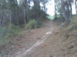 27072008213.jpg