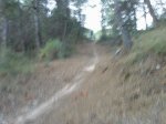 27072008217.jpg