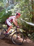 btt-15.jpg