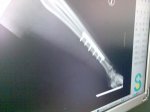 Imagen021.jpg
