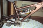 DSC01037.JPG