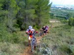 P27-07-08_10.12.jpg