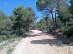 Imagen032.jpg