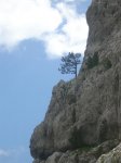 DSCN0826 (Medium).JPG