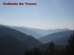 toses-tuixen03.JPG