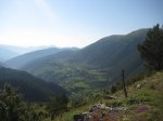 toses-tuixen05.JPG