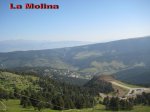toses-tuixen08.JPG