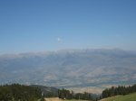 toses-tuixen10.JPG