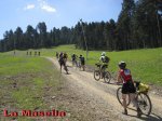 toses-tuixen13.jpg