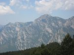 toses-tuixen20.JPG
