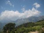 toses-tuixen22.JPG