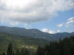 toses-tuixen23.JPG