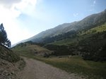 toses-tuixen33.JPG