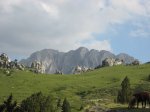 toses-tuixen38.JPG