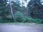 Foto4.JPG