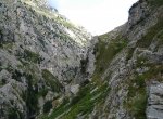 IMG_0240.jpg
