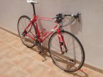 DSC03984.jpg