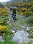 11-05-08_1122.jpg