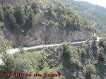 tuixen-llavorsi05.jpg