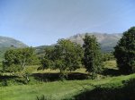 miercoles 30-07-2008 018.jpg