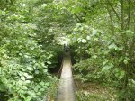 DSCN2216 (Large).JPG