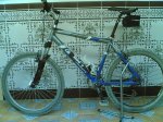 bici.jpg