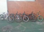todas de frente.jpg