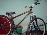 bike completa pintada.jpg