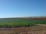 DSC00002.JPG