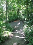 IMG_2371.jpg