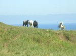 el camino del norte 253.JPG