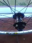 DSC00350.jpg