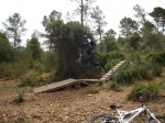 DSC04242.JPG