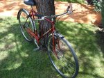 restauracion bicicletas 023 (Large).jpg