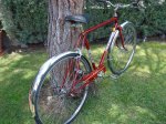 restauracion bicicletas 024 (Large).jpg