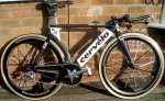 tricervelo2.jpg