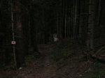 alp 2008 253.jpg