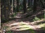 alp 2008 254.jpg