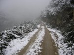 hivern 2005-06 048.jpg