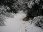 hivern 2005-06 055.jpg