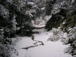 hivern 2005-06 056.jpg
