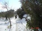 DSC02235.JPG