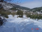 DSC02256.JPG