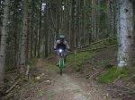 alp 2008 258.jpg