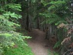 alp 2008 035.jpg