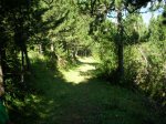 alp 2008 295.jpg