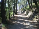 el camino del norte 391.JPG