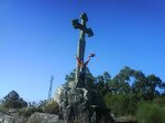 DSC00026.jpg