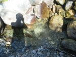 _ 046.jpg