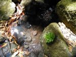 DSCN6978.JPG